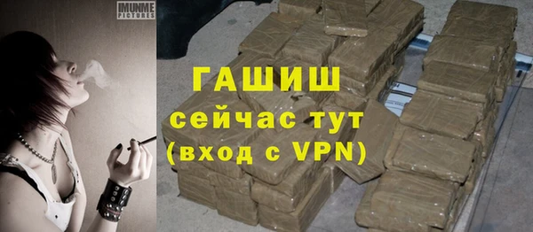 прущие грибы Вяземский