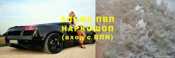 PSILOCYBIN Вязьма