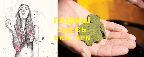 прущие грибы Вяземский