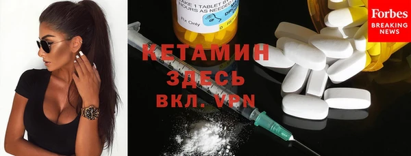 прущие грибы Вяземский