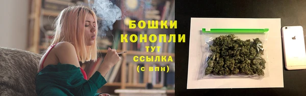 PSILOCYBIN Вязьма