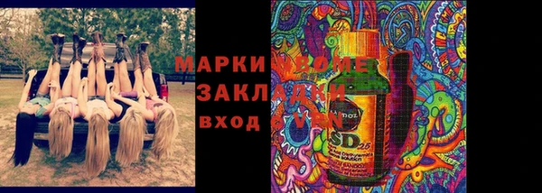 прущие грибы Вяземский