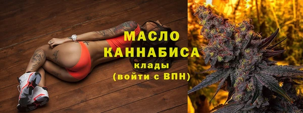 прущие грибы Вяземский