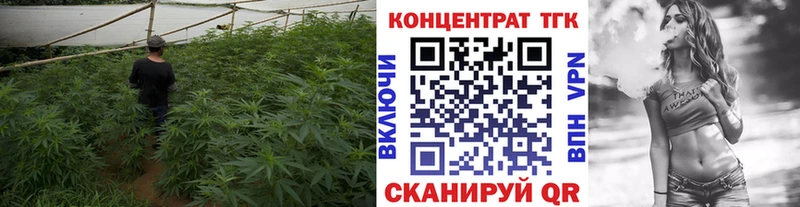 ТГК THC oil  Разумное 