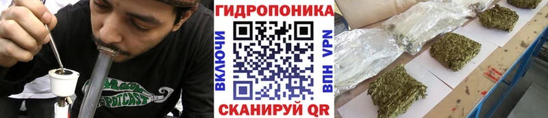 даркнет сайт  Разумное  Бошки марихуана семена 